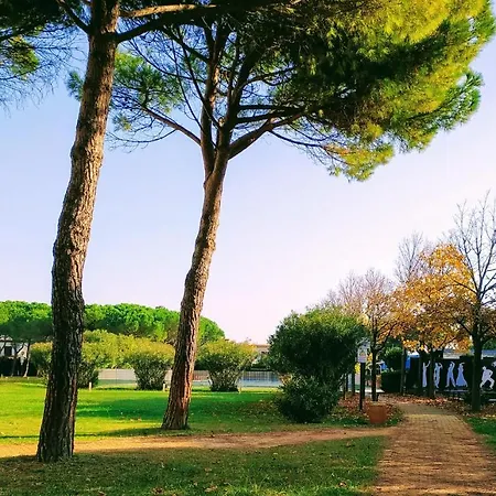 In - Mare Del Conero