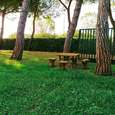 In - Mare Del Conero *